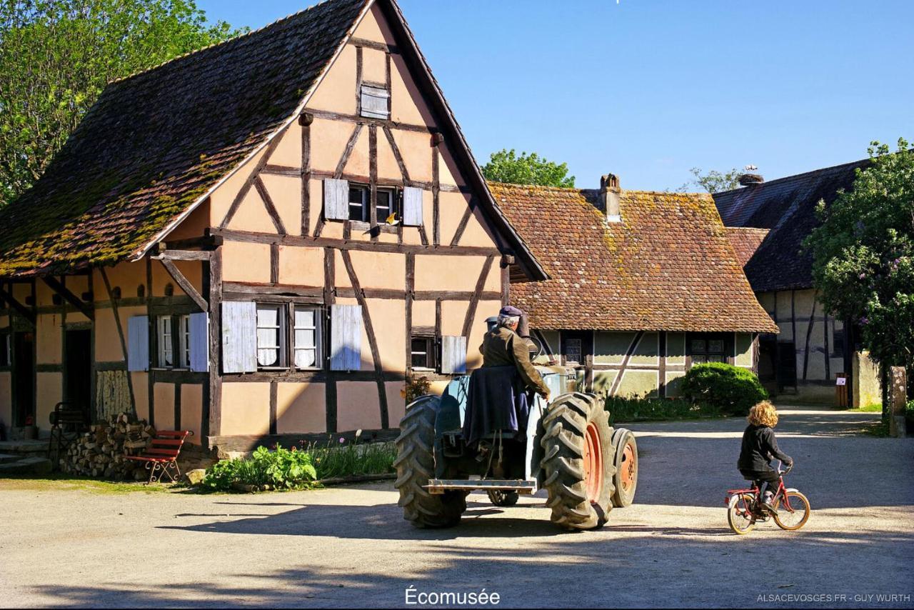 Chalet Du Silberrain Pres De Colmar - Cheminee, Sauna, Piscine Partagee Osenbach Екстериор снимка